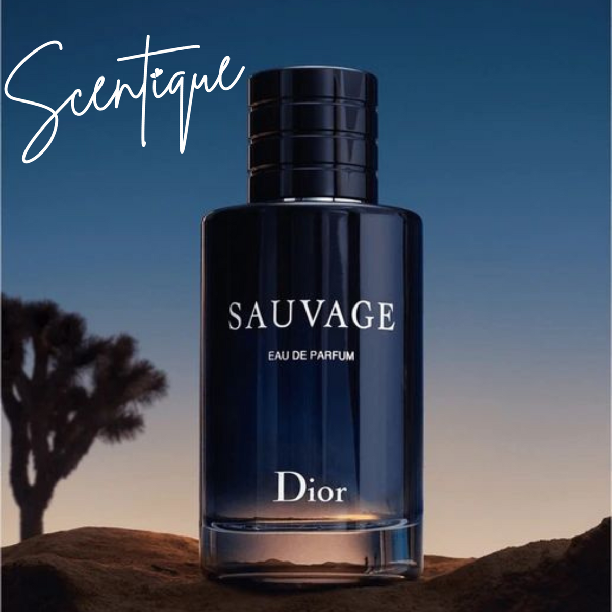 Dior Sauvage 100mL - EAU DE PARFUM